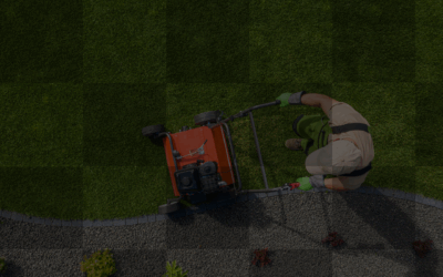 4 Regular Basis Activities to Keep your Lawn in Good Shape