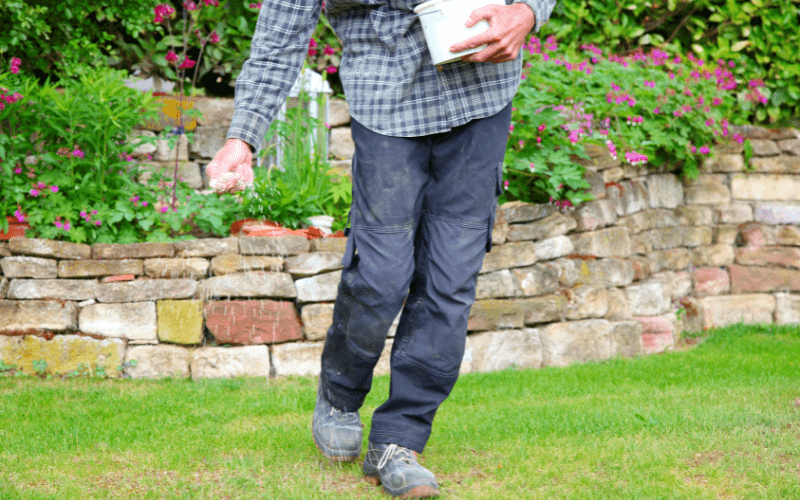 Fertilizing