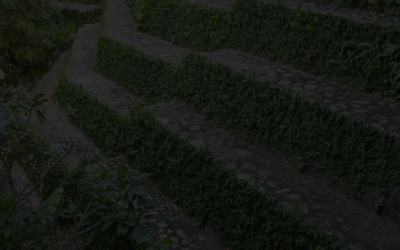 Unlocking the Hidden Potential of Retaining Walls with a Dual Purpose