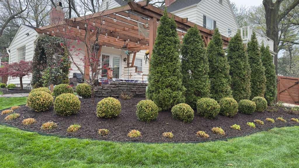 Evergreen shrubs, boxwoods, mulch, and small plants installed in a curved landscape bed near a backyard patio in Kansas City.