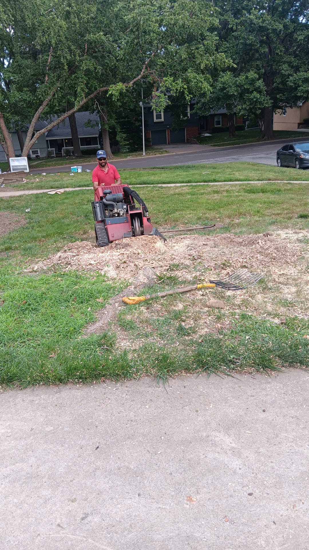Mountain Landscaping crew member using a stump grinder to remove a tree stump from a residential yard in Shawnee, Kansas.