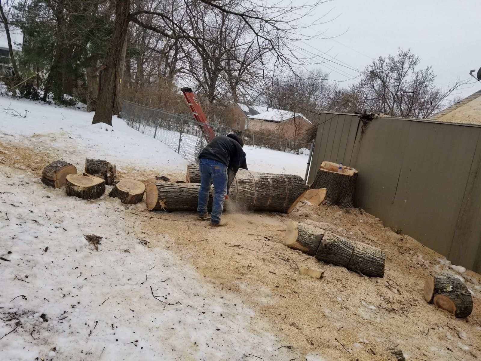 Crew member cutting large tree logs with a chainsaw during winter tree removal cleanup at a residential property in Kansas City, Missouri.