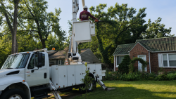 Professional bucket truck tree service helps trim branches safely around residential properties. Mountain Landscaping tree service crew member using a bucket truck to prune tree branches at a residential property in Kansas City.